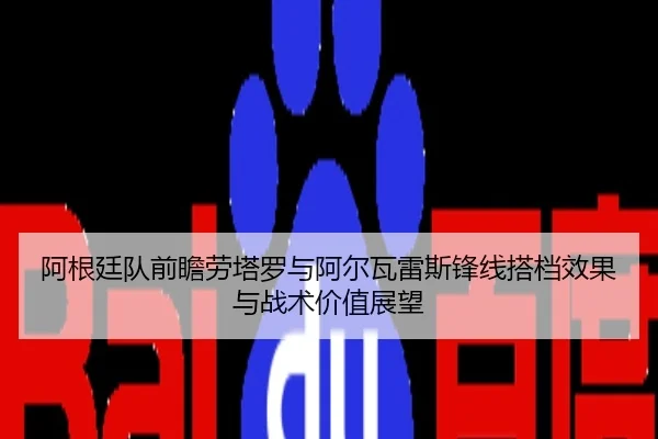 阿根廷队前瞻劳塔罗与阿尔瓦雷斯锋线搭档效果与战术价值展望